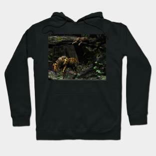 In Nature Color Never Matters Hoodie